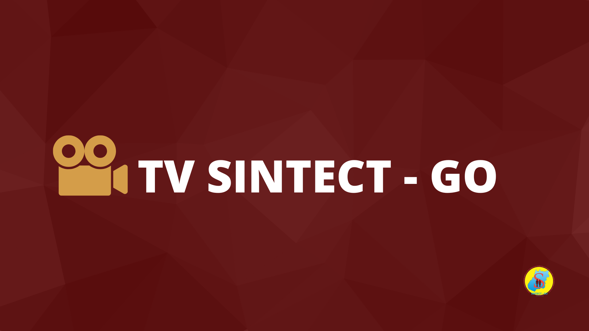 TV SINTECT-GO